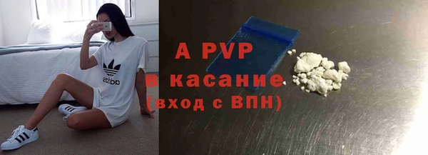 твердый Тайга