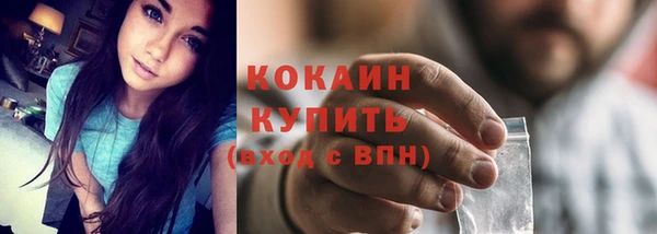 молекула духа Белокуриха