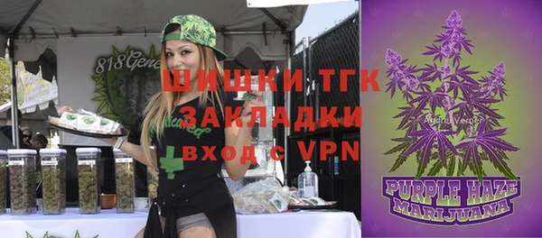 молекула духа Белокуриха